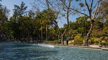 A model speed boat creates cuts through the calm waters of the Model Boat Pool. The pool is popular with many model boat enthusiasts and spectators.